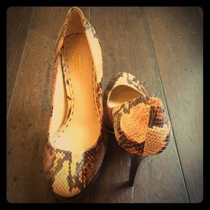Platform High Heeled Coach Brown Snakeskin Pumps